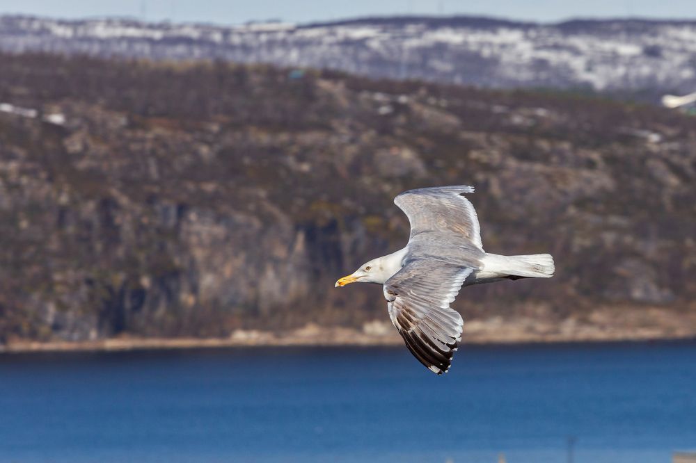 Фотография автора Наталья Василькова