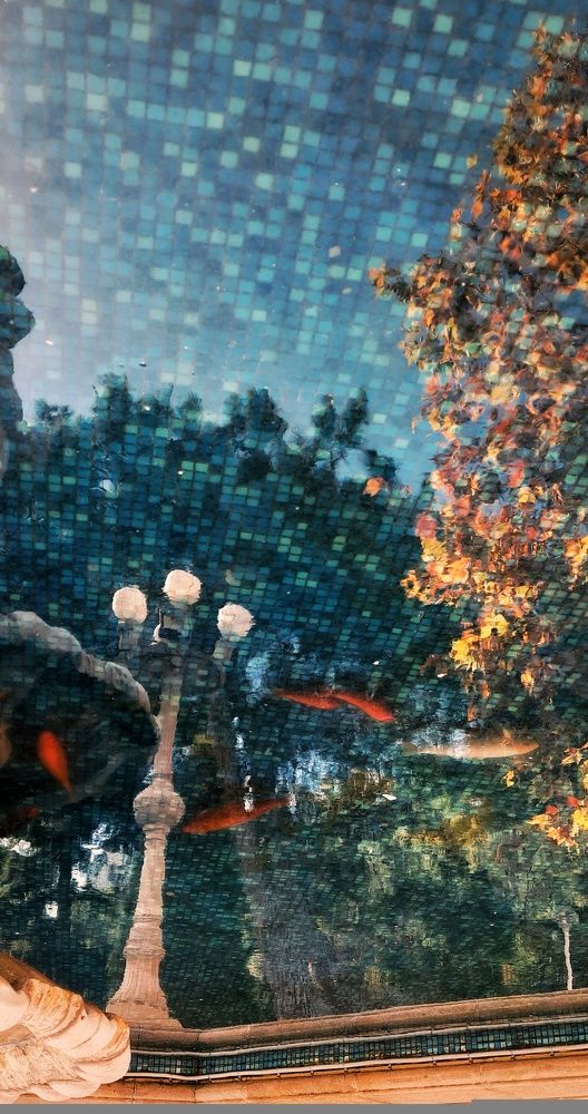Photograph by Алена Жилина