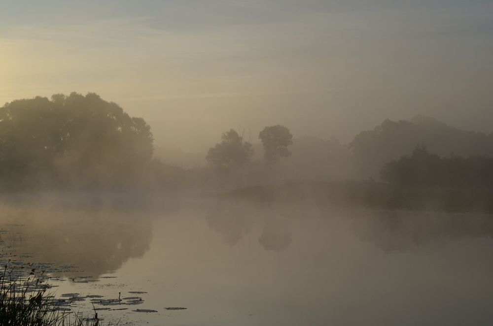 Фотография автора Владимир Брызгунов