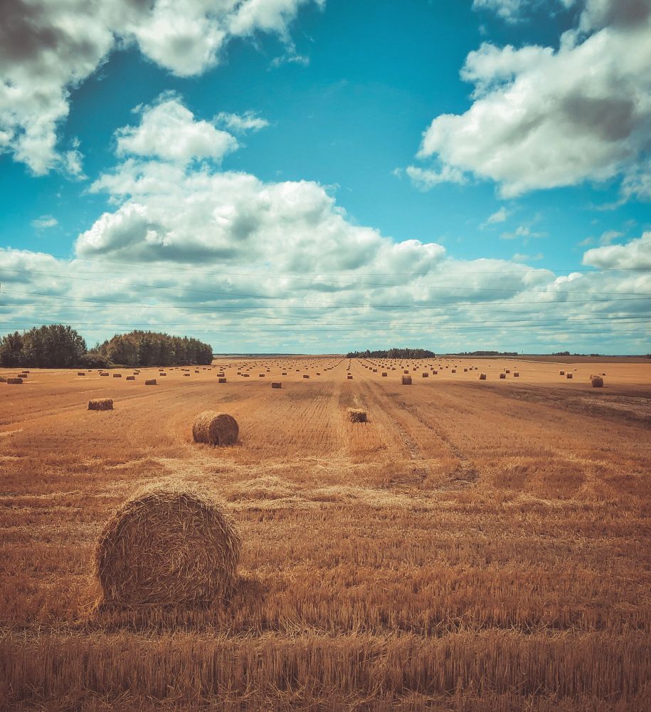 Photograph by Пётр Семенюк