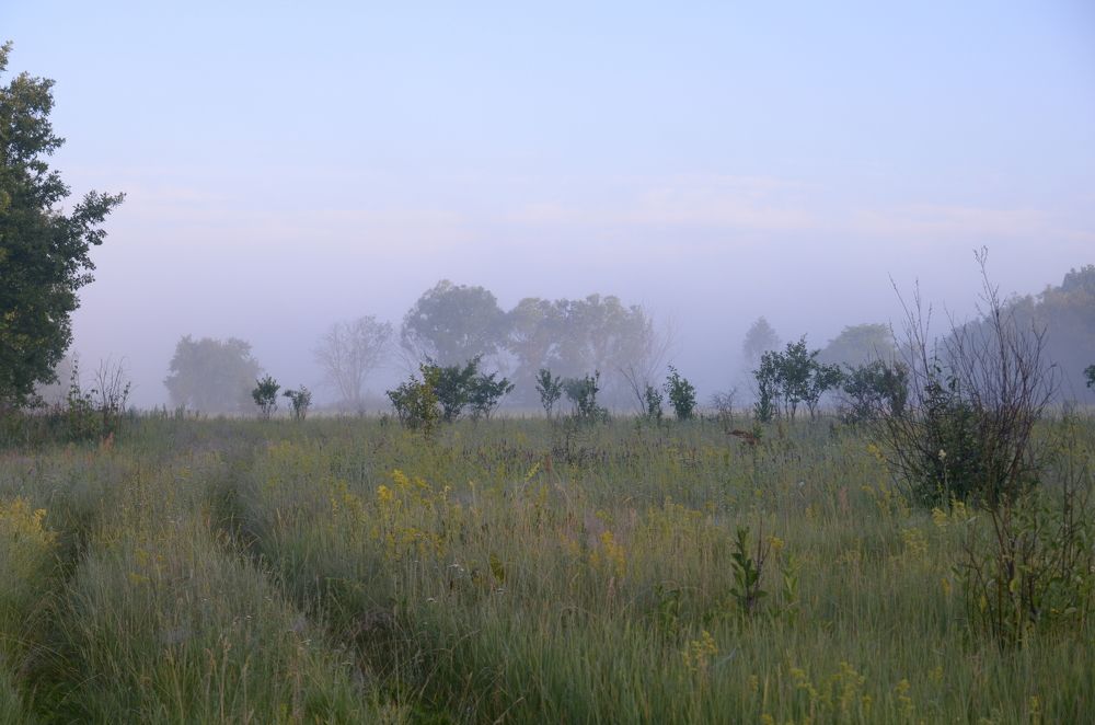 Фотография автора Владимир Брызгунов