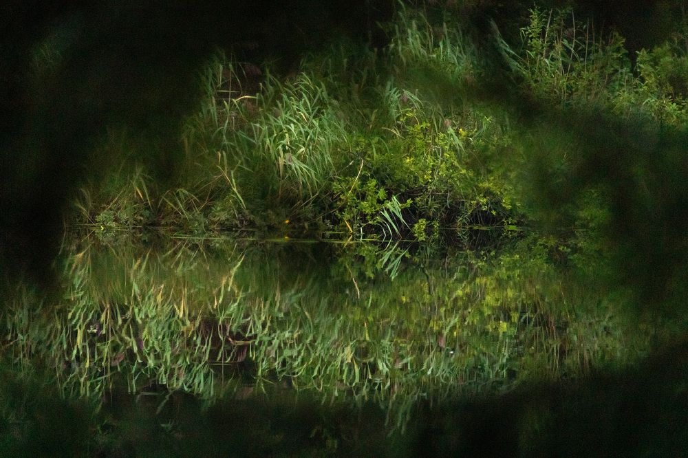 Photograph by Юлия Куликова