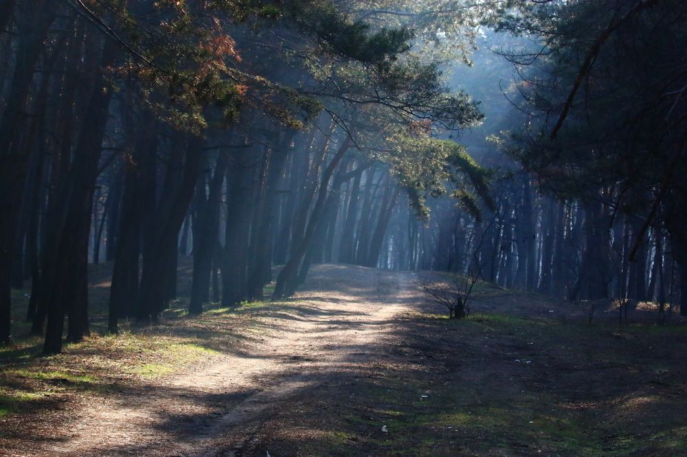 Фотография автора Евгений