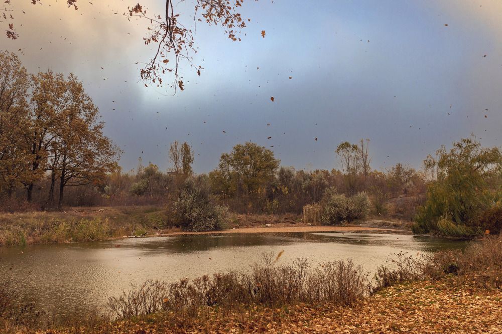 Photograph by Леонид Соснин