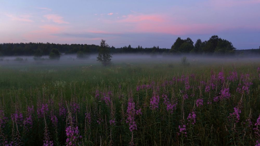 Карельская тишина