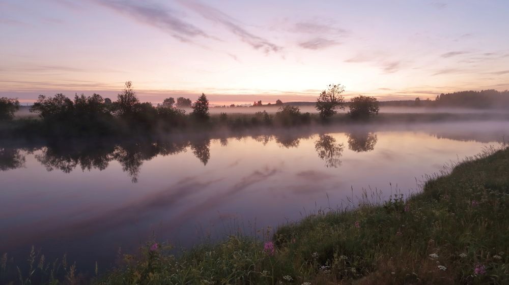 Шуйский туман.