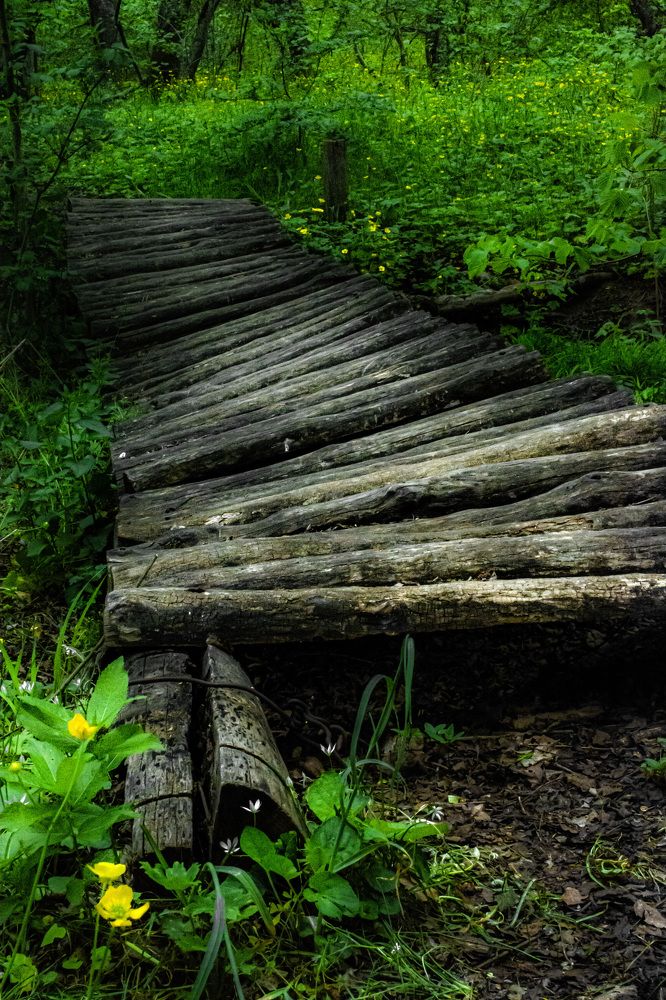Таинственный мост в сказочную страну