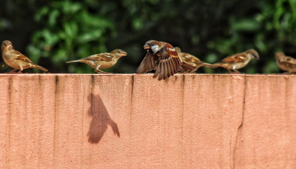 Photograph by Ekra Tasfia