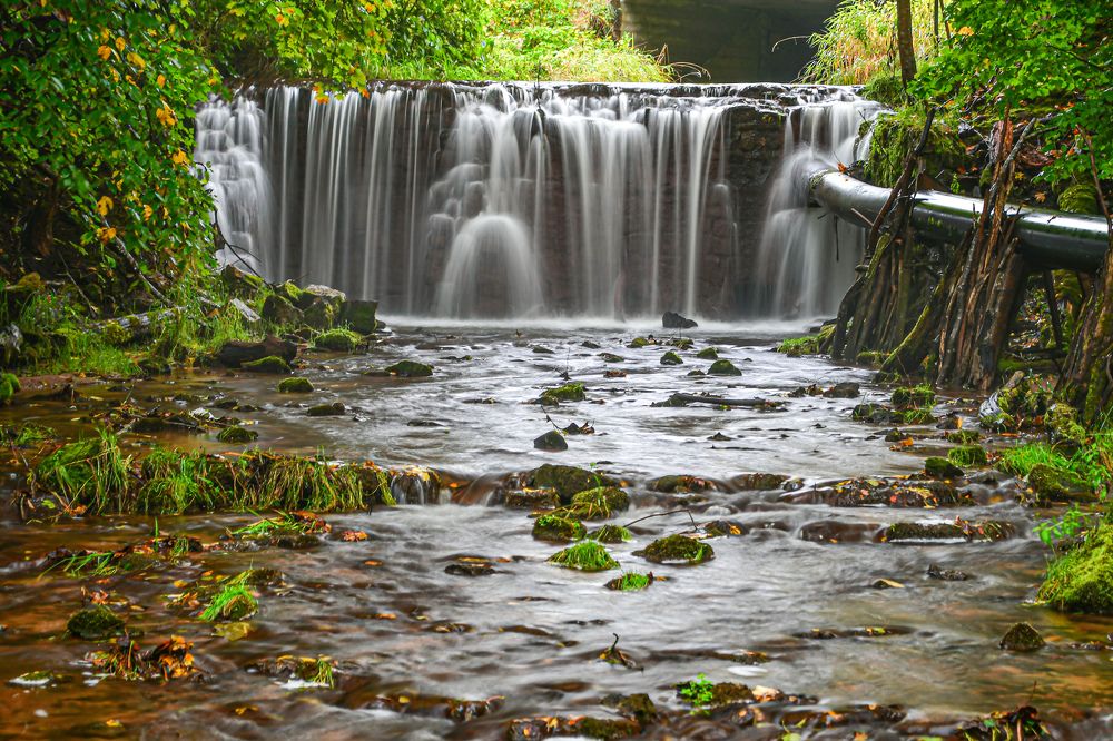 Photograph by AVIC A.M.