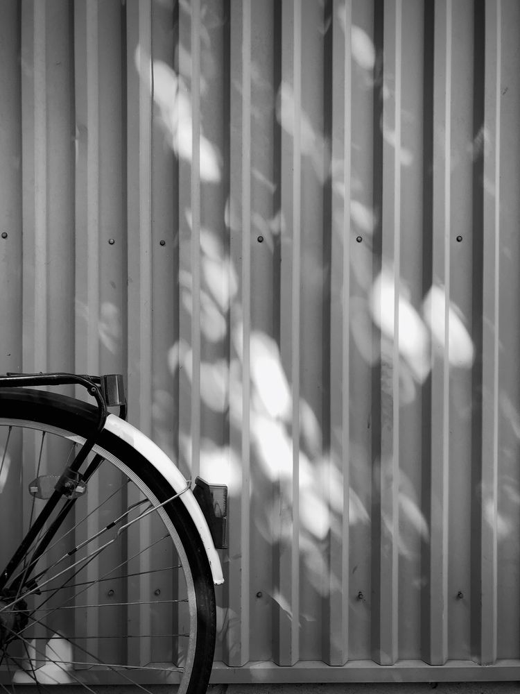 Photograph by Valentina Jegorova