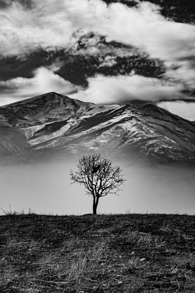 Photograph by mahdi jangjo