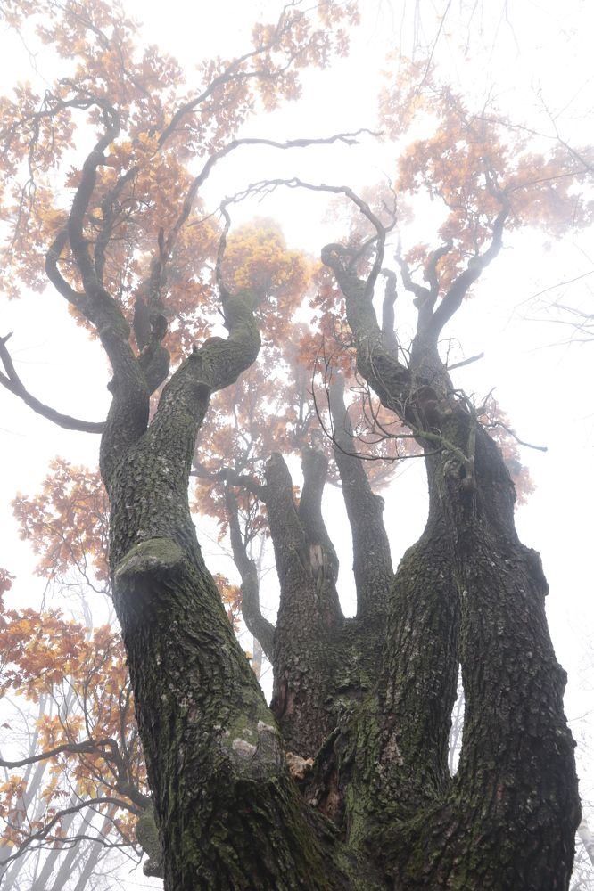 Photograph by Ольга Силакова