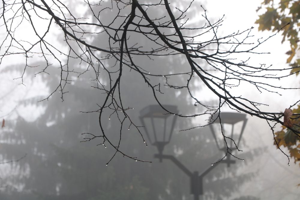 Photograph by Ольга Силакова