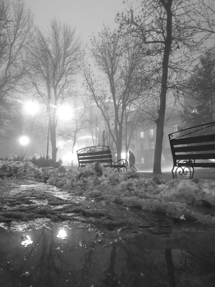 Photograph by Людмила Орловская