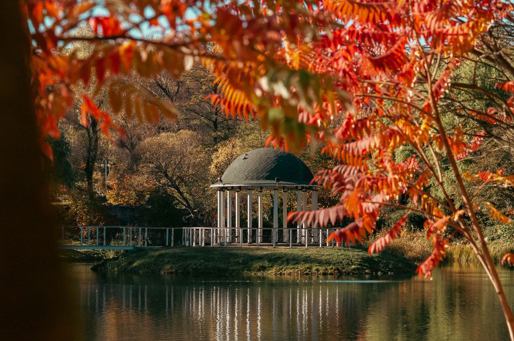 Photograph by Ольга Кудина