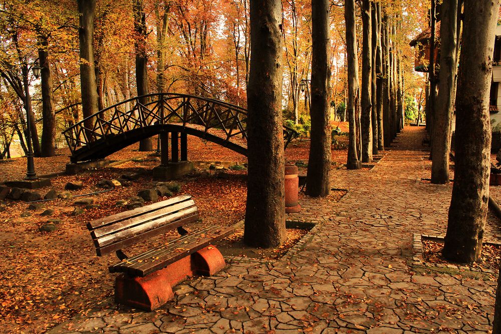 Park Bridge