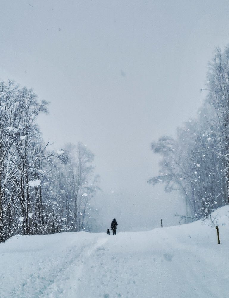 Двое в снегу...