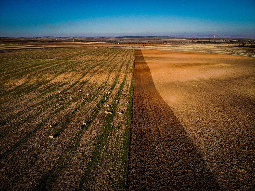 Photograph by Димитар Бирачоски