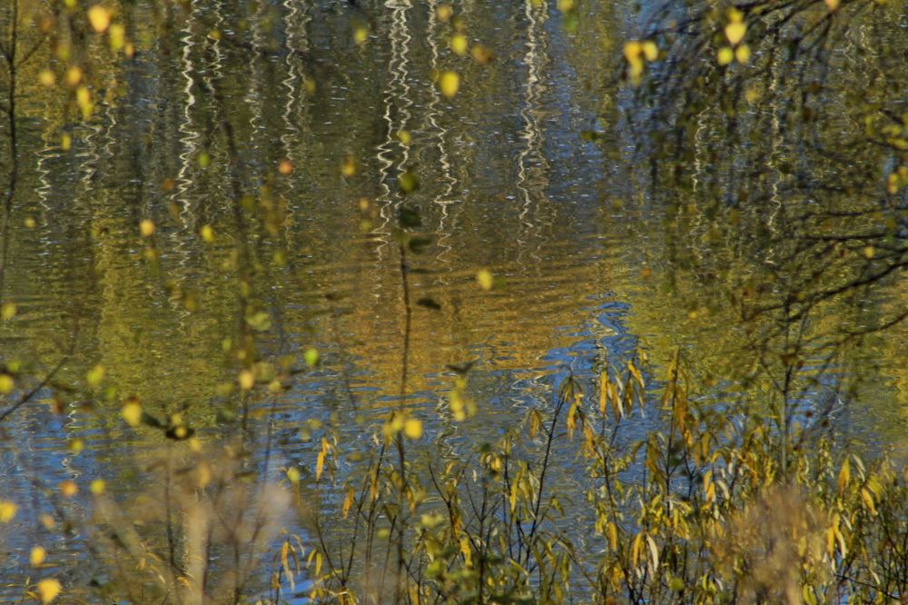 Photograph by Рашид Шайдулин