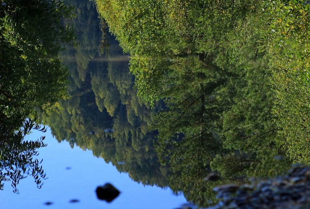 Photograph by Рашид Шайдулин