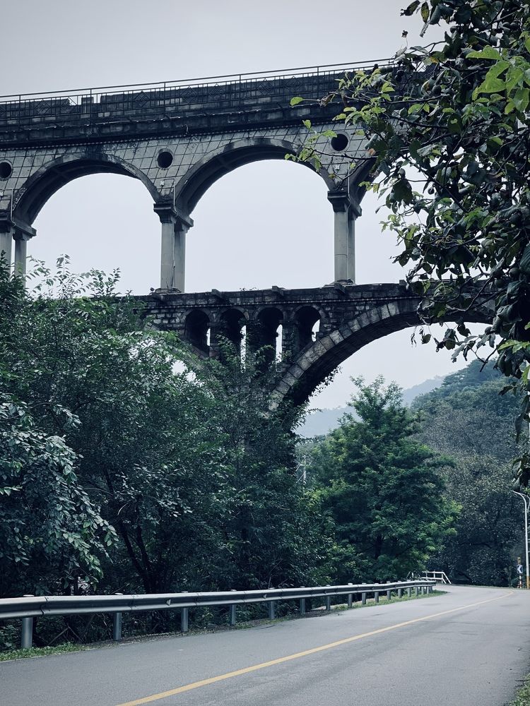 Photograph by Шевалье Татьяна