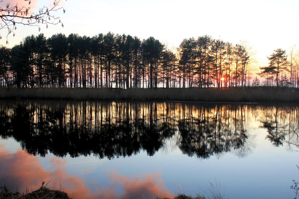 Photograph by Olga Bagaeva