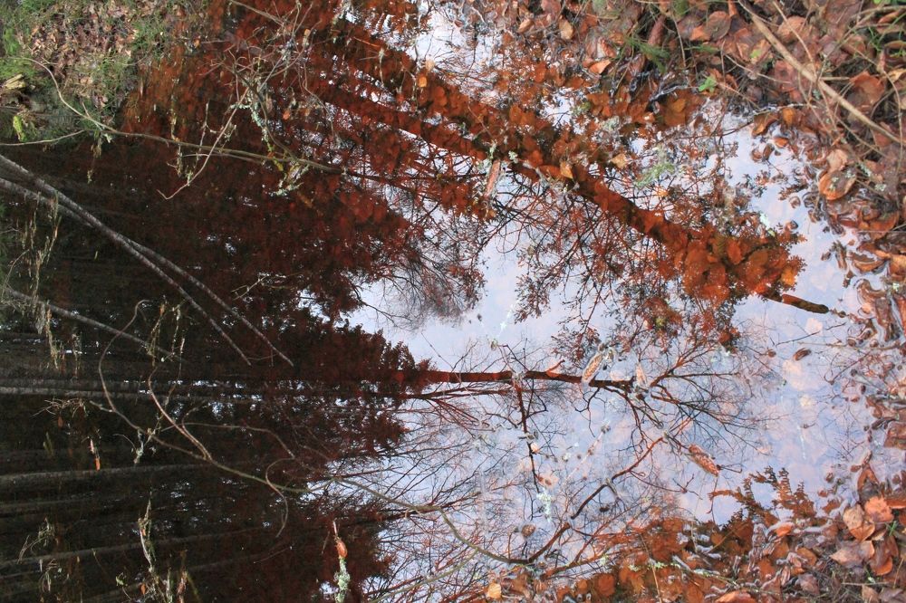 Photograph by Olga Bagaeva