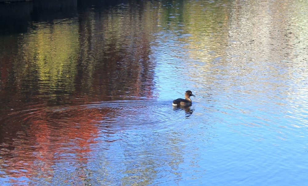 Photograph by Olga Bagaeva