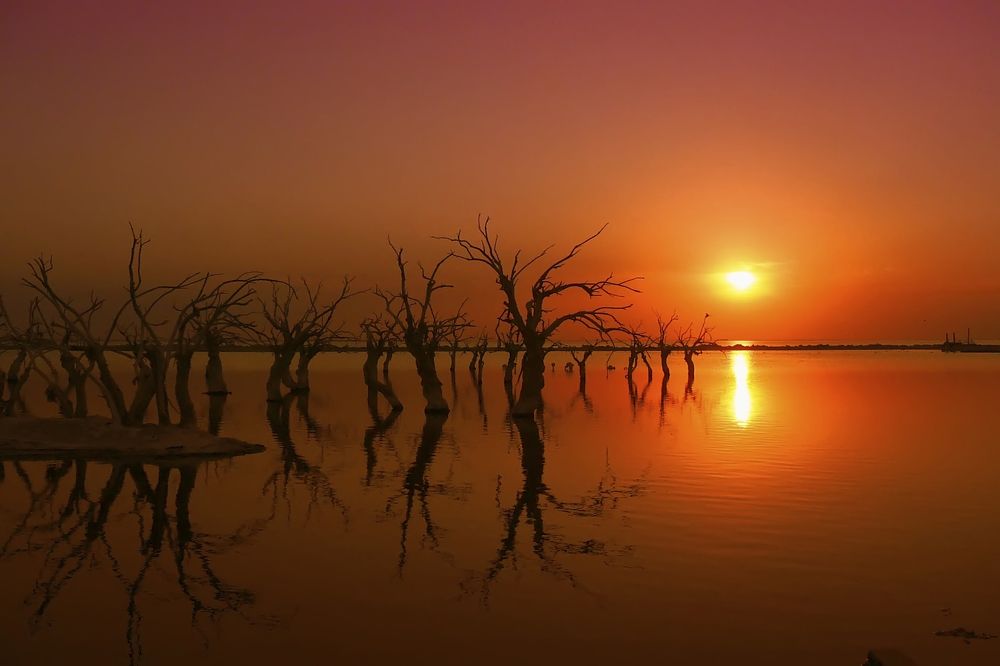 Photograph by Doralisa Romero