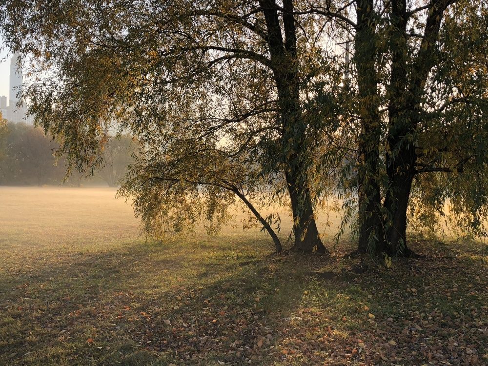 Photograph by Донская