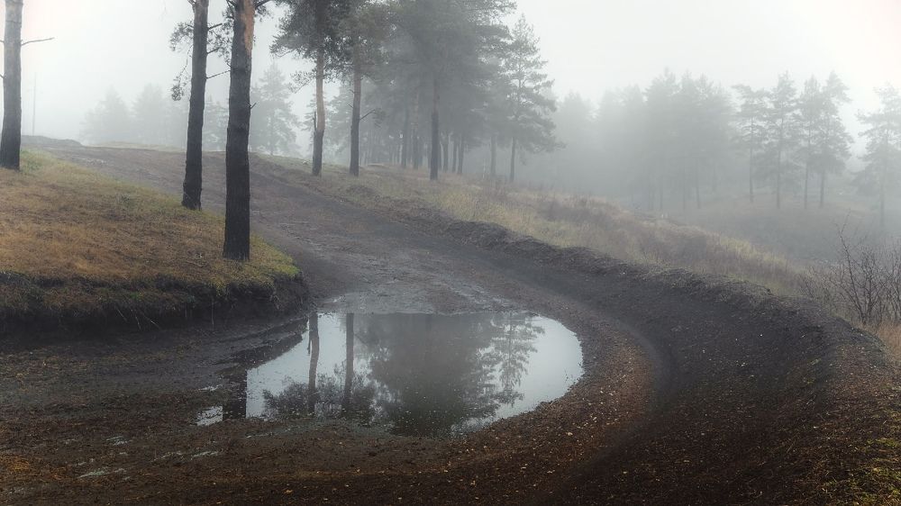 Фотография автора Михаил Назаров