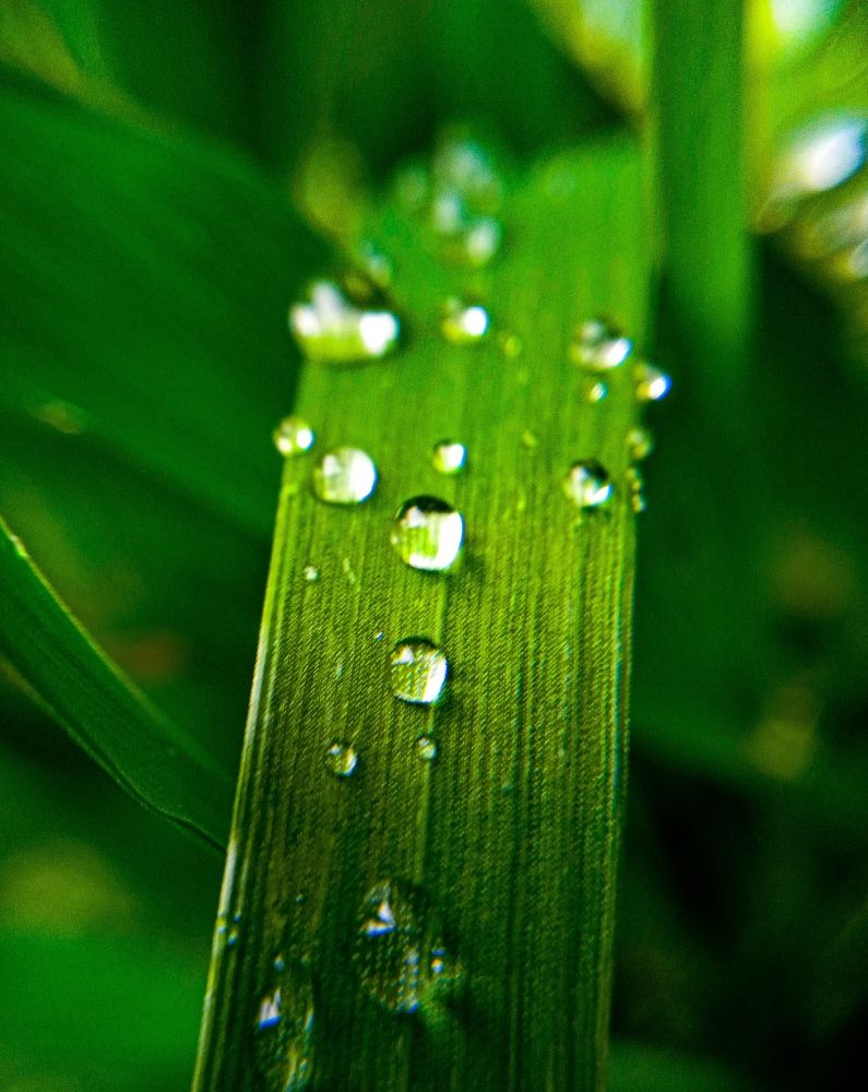 Photograph by Дарья