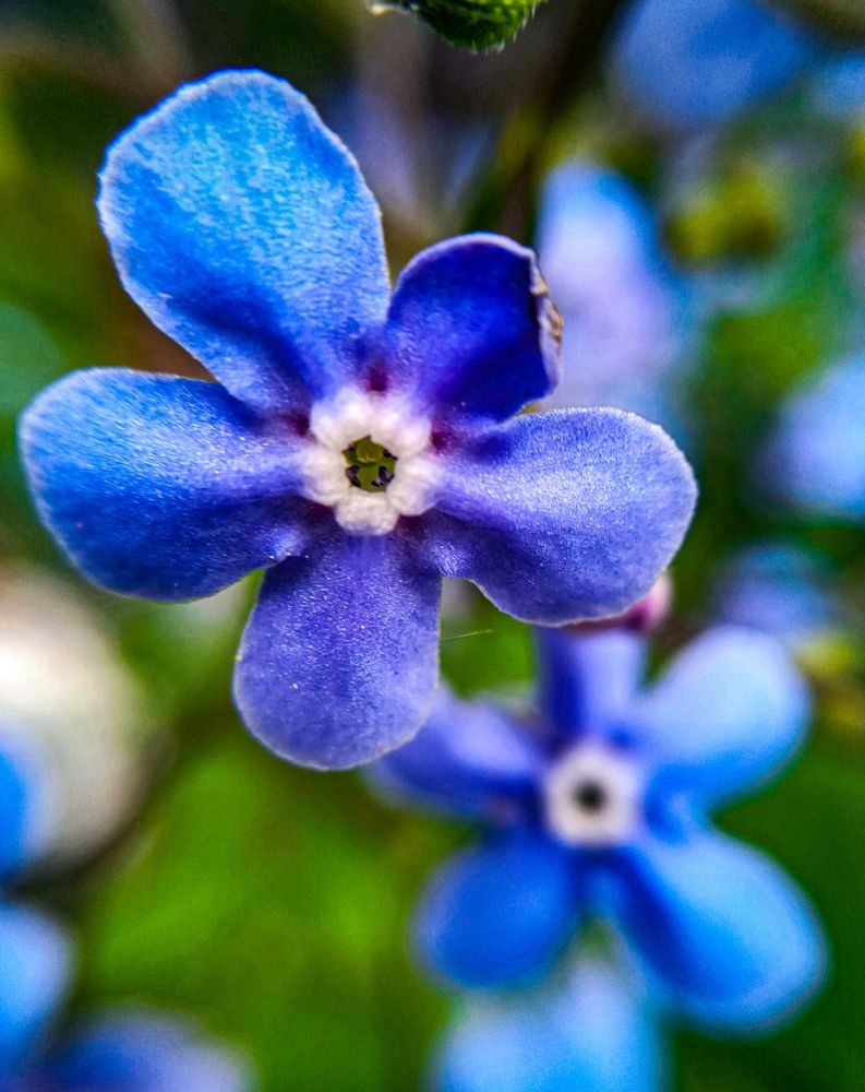 Photograph by Дарья