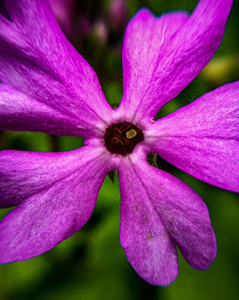 Photograph by Дарья