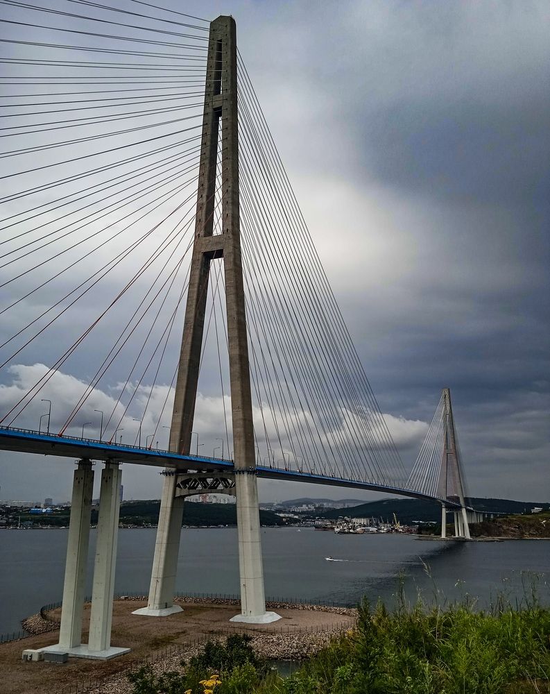 Photograph by Дарья