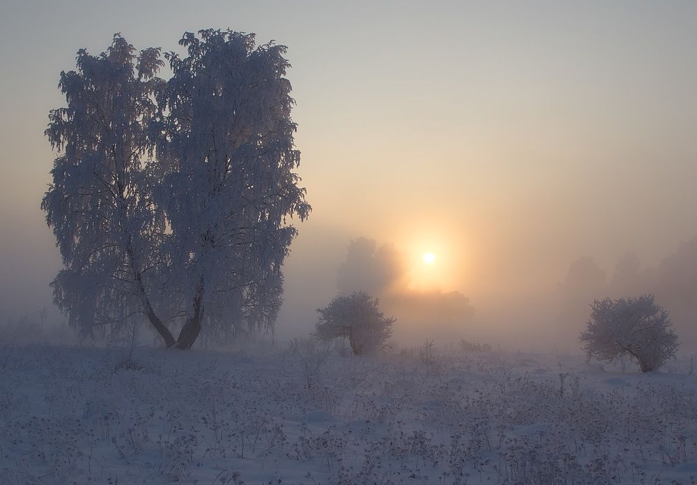 Photograph by Анатолий Васильев