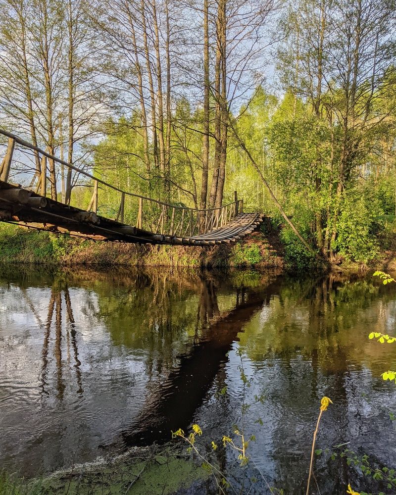 Фотография автора Евгений Ильин