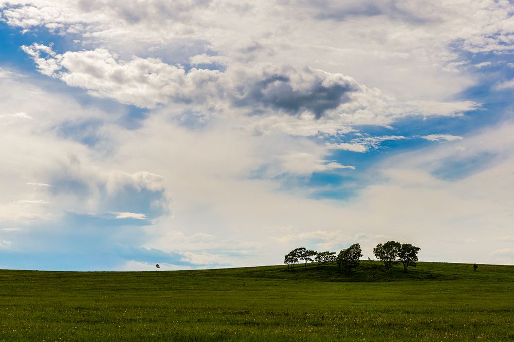 Photograph by Коротков Евгений