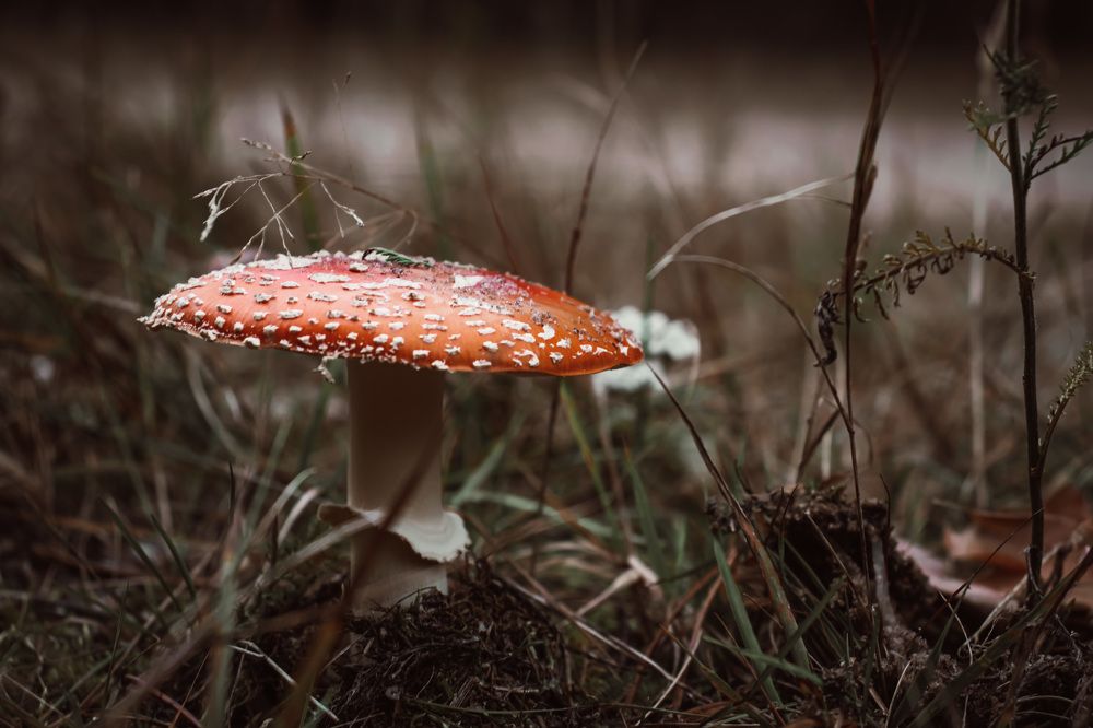 Photograph by Дмитрий Фадеев