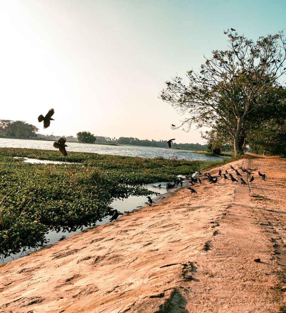 Photograph by Sahan Madhubhasha