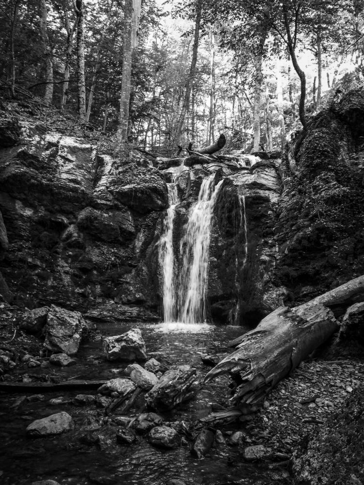 Photograph by Артём