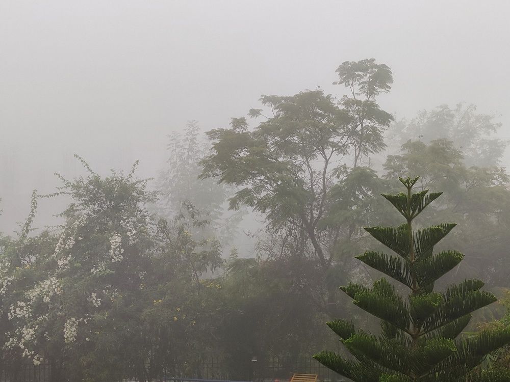 Photograph by Manoj Kumar singh