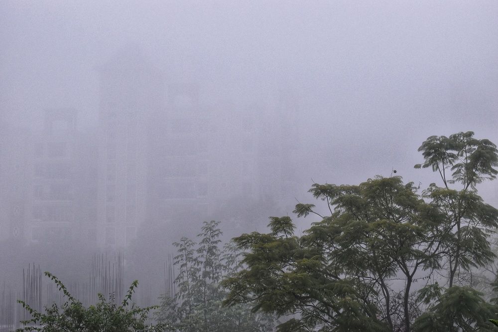 Photograph by Manoj Kumar singh