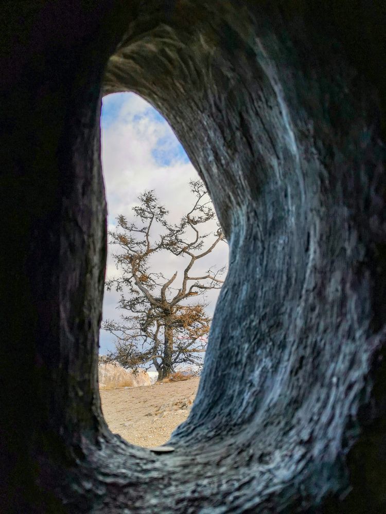 Photograph by Марина Корреа Ластра