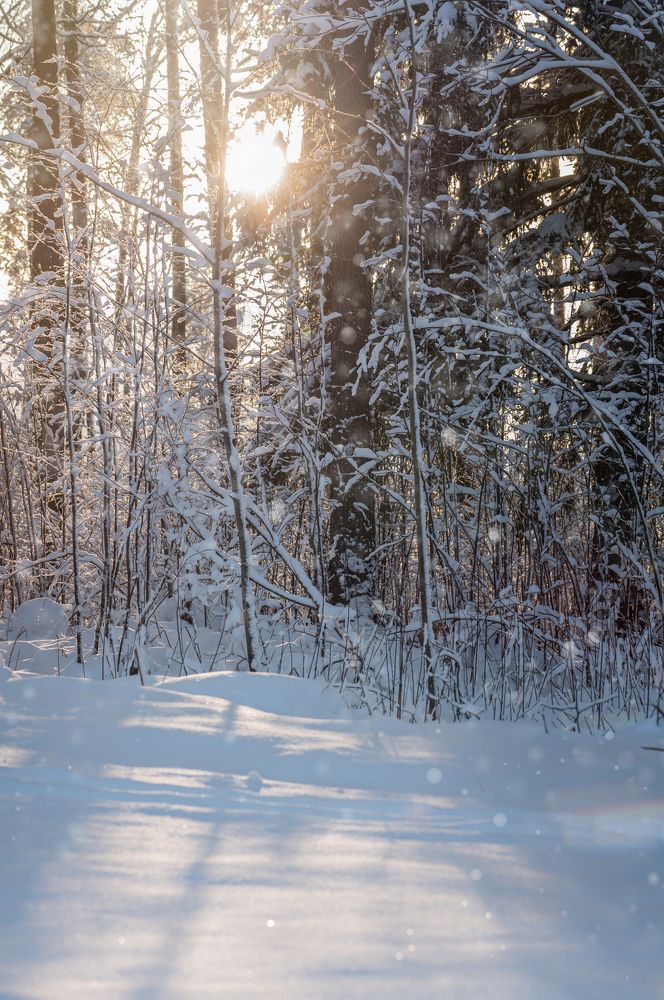 Photograph by Anna Makarenkova