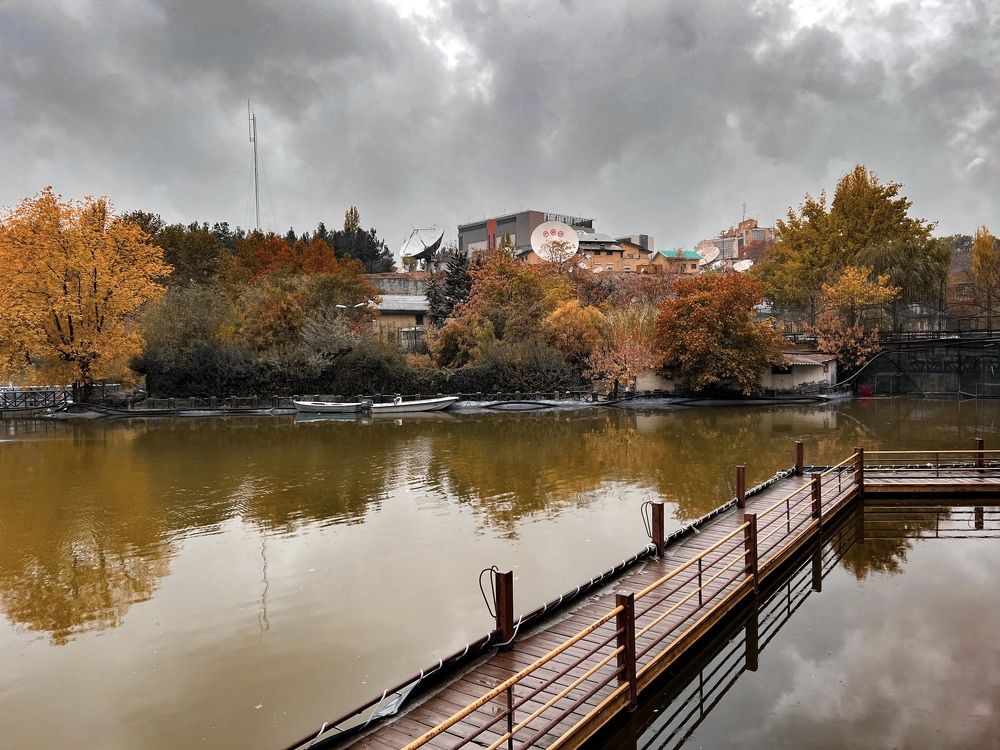 Photograph by roya razaghi