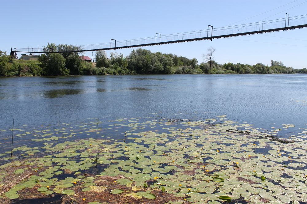 Photograph by Екатерина Хозяшева