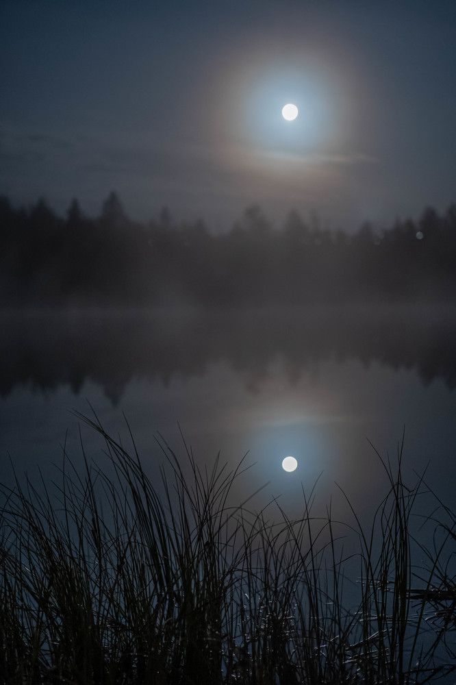 Лунная жемчужина