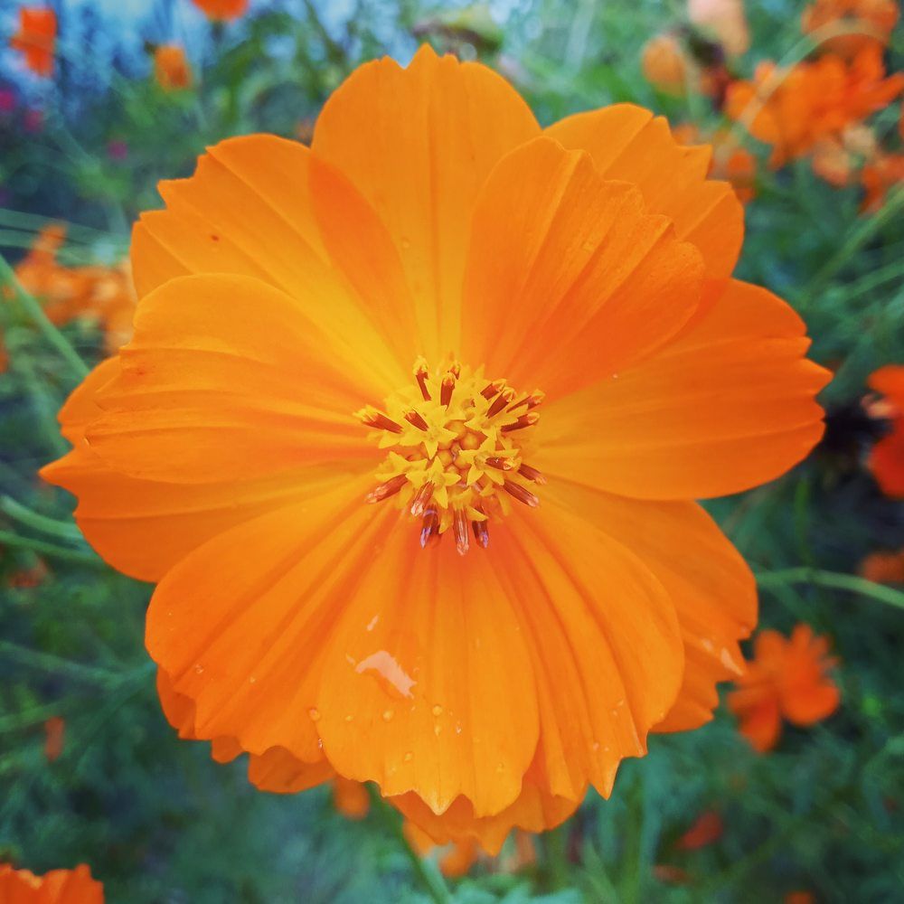 Photograph by Arijit Roy