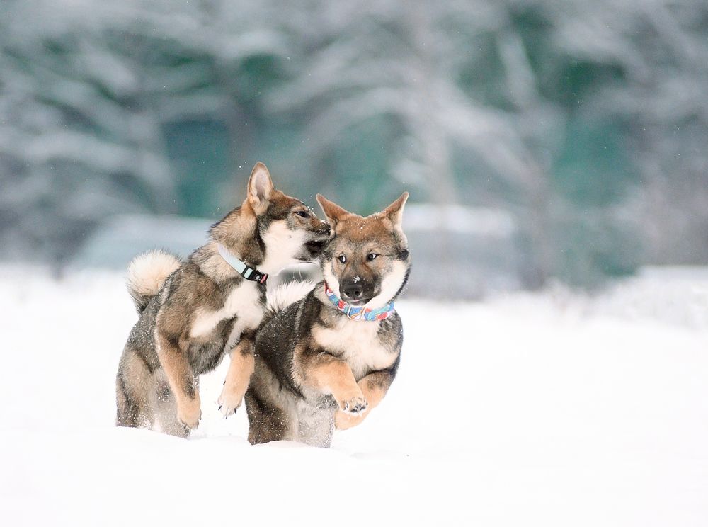 Photograph by Коптилина Галина